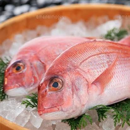 We offer fish caught in Setouchi♪