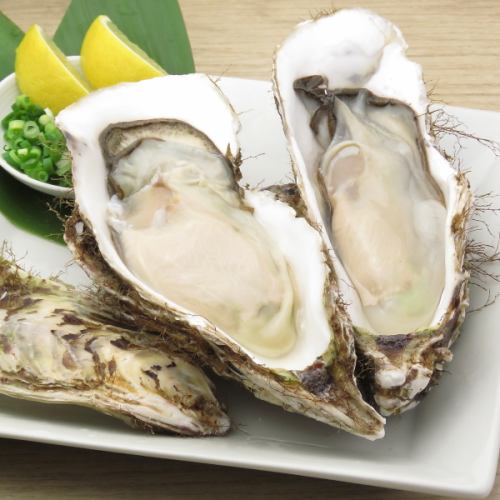 1 raw oyster