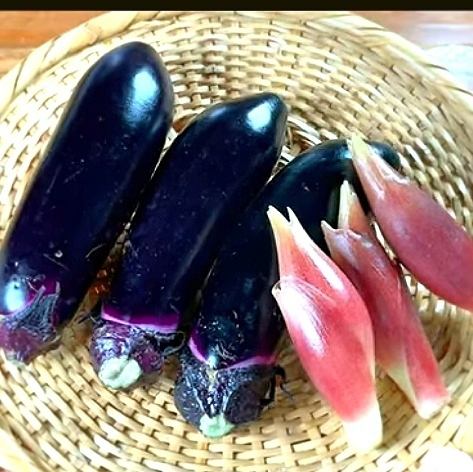 水なすと茗荷浅漬け