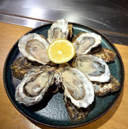 殻付蒸し牡蠣…かなわの生牡蠣使用。1コ※夏季はかなわの「牡蠣小町」使用しております