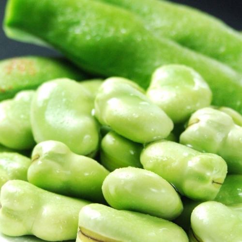 Boiled broad beans in salt