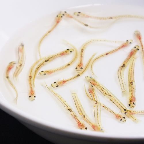 Aoki Shoten ☆ A seasonal feature of spring!! [Whitebait Dance] *Depending on the weather and other purchasing conditions, this item may not be in stock.