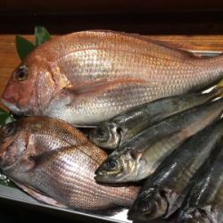 Recommended daily sashimi