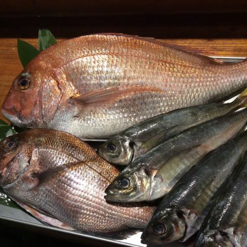 Recommended daily sashimi