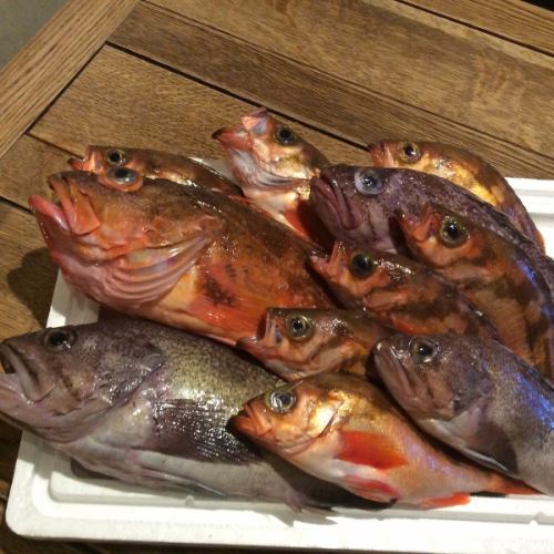 Recommended daily sashimi