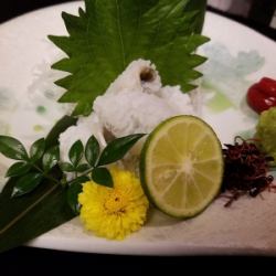 ハモの湯引き《梅肉添え》