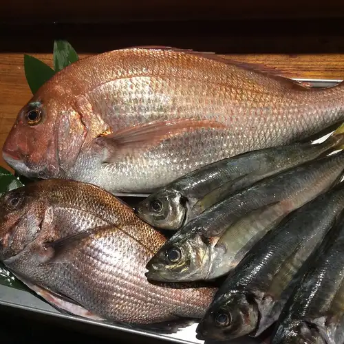 Recommended daily sashimi