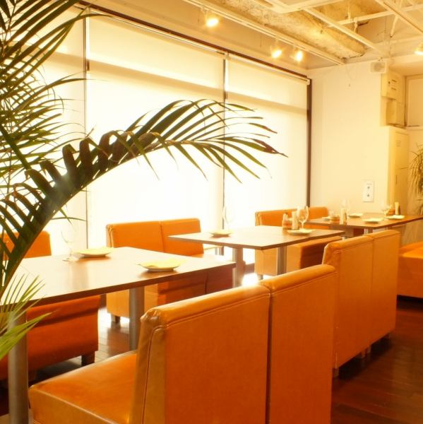 The store is filled with refreshing sunlight and has a calm atmosphere that will make you want to stay forever.We also perform live shows in our cozy interior!! We can accommodate all your needs such as dates, birthdays/anniversaries, banquets, private parties, wedding after-parties, etc.♪