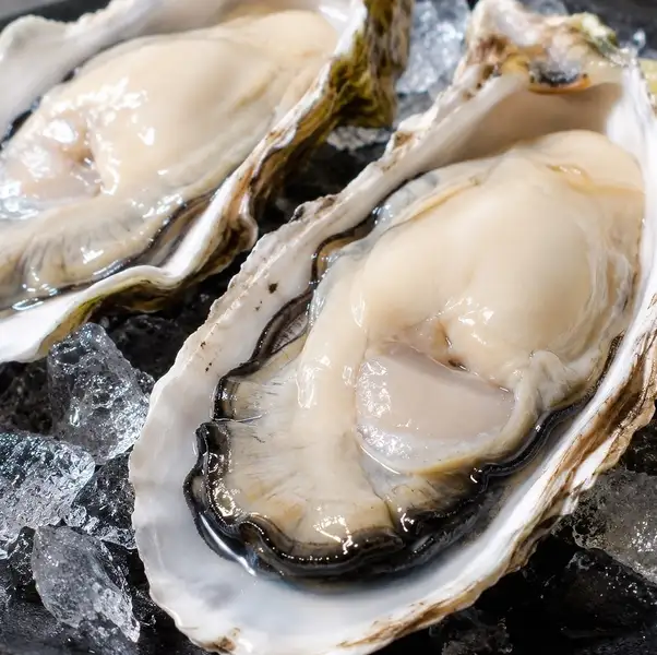 産地にこだわり厳選！クリーミーで濃厚な味わいが口いっぱいに広がる「生牡蠣」