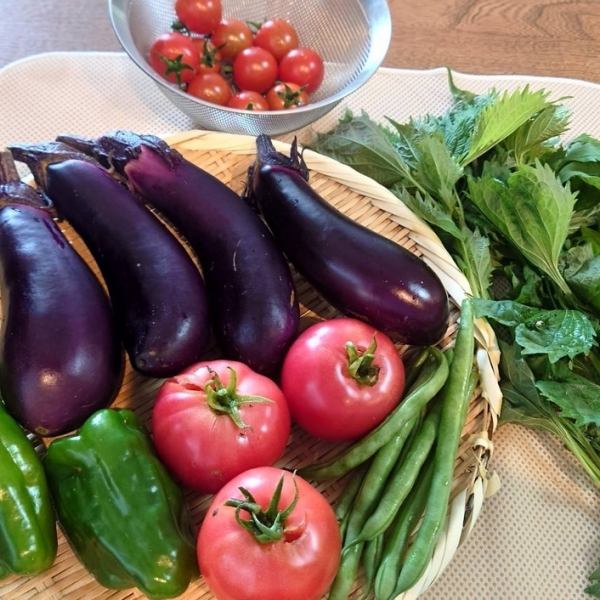 【食材の旨味を堪能】家庭菜園で育てたお野菜やハーブを調理してご提供しております◎トマト、ナス、ピーマン、大葉、バジル、ローズマリーなど、季節に合わせた食材の旨味を最大限に引き出したコースをお楽しみください。特別なひとときになるよう心を込めてお作りいたします♪皆さまのご来店、お待ちしております！