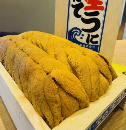 【うに食べ比べ付き!】旬のおまかせコース 13,000円