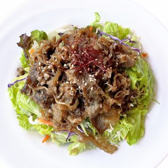 Bulgogi salad