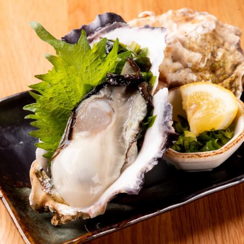 新鮮生牡蠣(1ヶ)