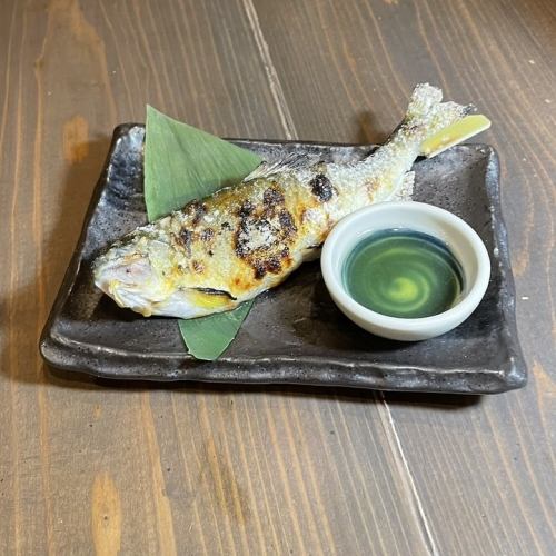 【夏季菜單/烤串】鹽烤香魚/烤玉米