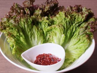 Lettuce (sunny lettuce) with special miso