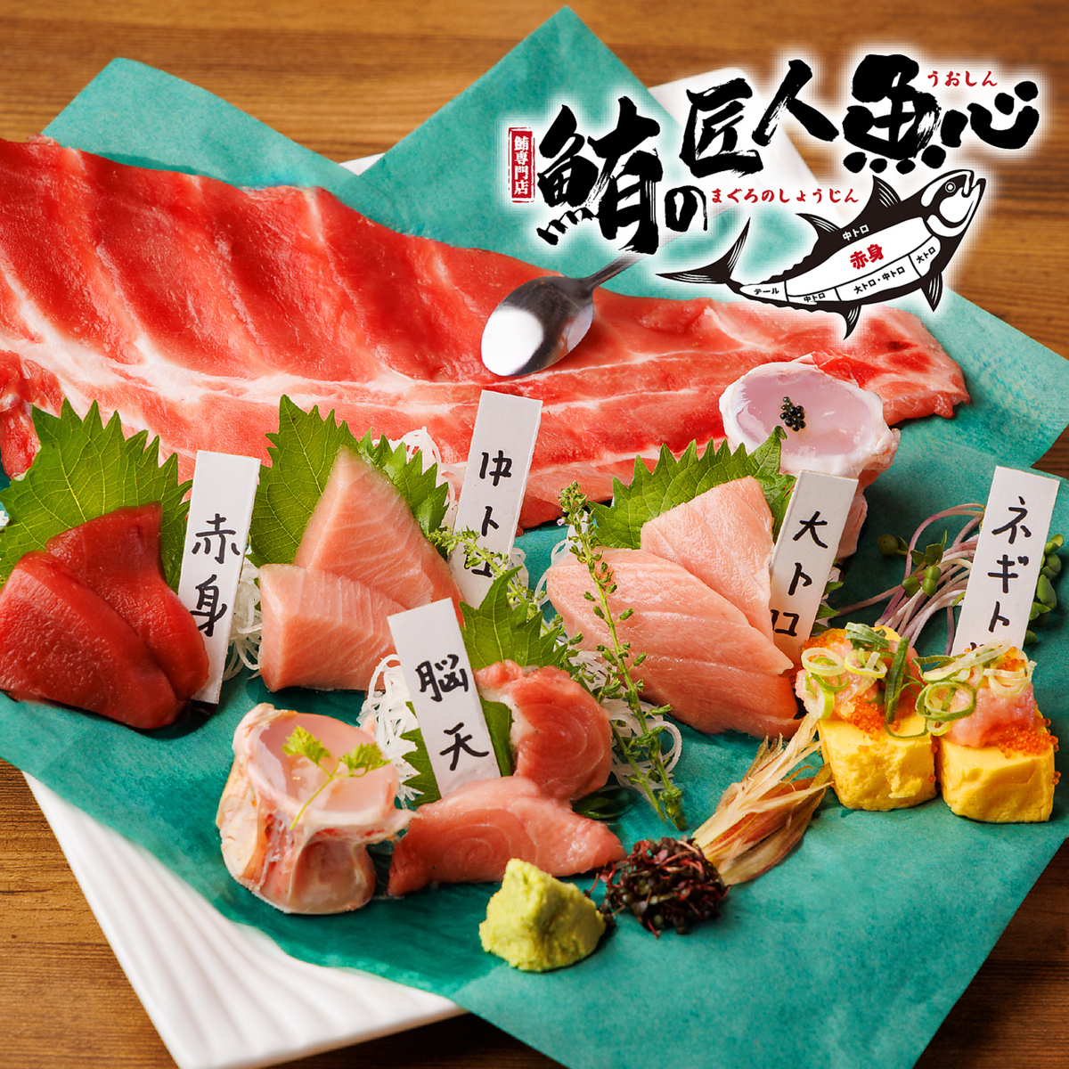【フロア貸切・完全個室】創作鮪料理＆日本酒をご堪能！個室居酒屋◎