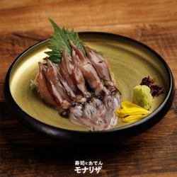 生萤火虫鱿鱼
