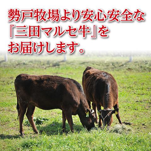 [生產直接日本黑牛肉]直接從牧場☆美味的三田馬賽牛肉