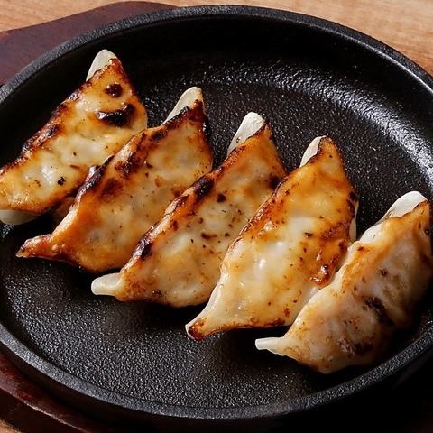 鉄板焼き餃子(5個)