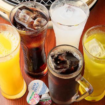 [Available for 2 people or more] All-you-can-drink soft drinks 880 yen