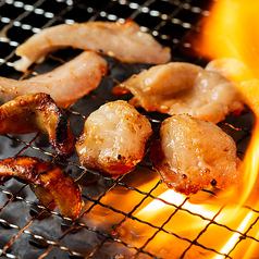 【120分食べ放題・SD飲み放題】豚肉も鶏肉もホルモンも！《さわぎコース》