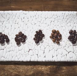 スペシャリティ珈琲