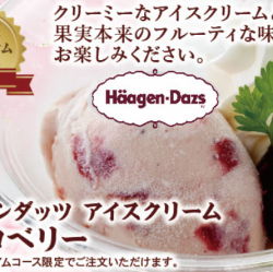 哈根达斯草莓冰淇淋 *仅限豪华高级套餐包含。