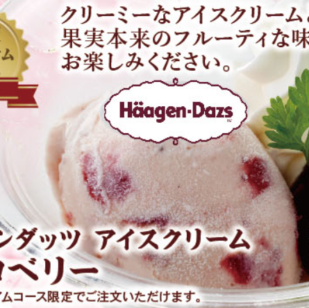 ハーゲンダッツアイスクリームストロベリー※贅沢プレミアムコース限定でご注文いただけます。