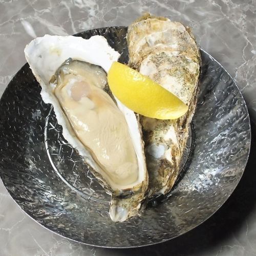 Safe and secure raw oysters with safe quality