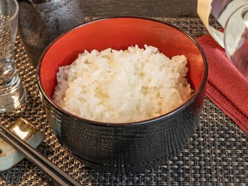 白ごはん(中)