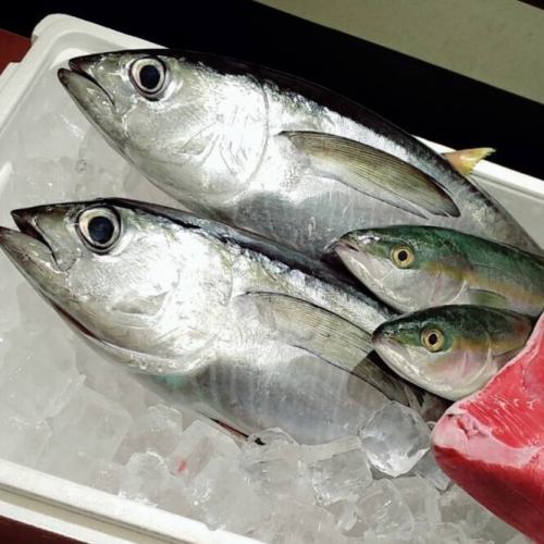 鮮度にこだわり新鮮な魚をさばいてご提供しています◎