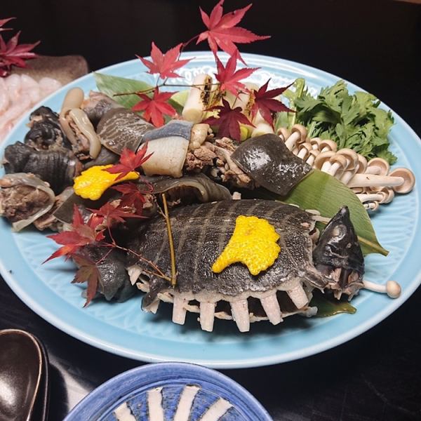 Kappo Izumi "Seasonal Course Cuisine"