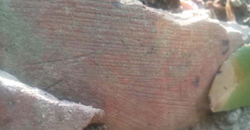 이런 것이 노출되고 있는 곳 지금까지 다른 곳에 모른다.전문가나 일부 매니아의 사람들은 알고 있어 조용히 하는 거야.
오사카 부시입니다.흥미가 있는 분은 오후에 내점 후 카운터 석에서 질문해 주세요.커피의 蘊蓄은 말하지 않지만, 이런 일은 말을 합니다 😆