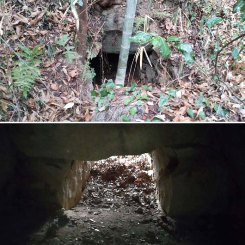 一只野猪突然从石室里跳出来，扭伤了我的膝盖，我吓了一跳。从今天起，店主将放慢营业速度一段时间。请原谅我。