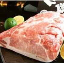 Ultimate pork! [TOKYO-X] Grilled pork loin