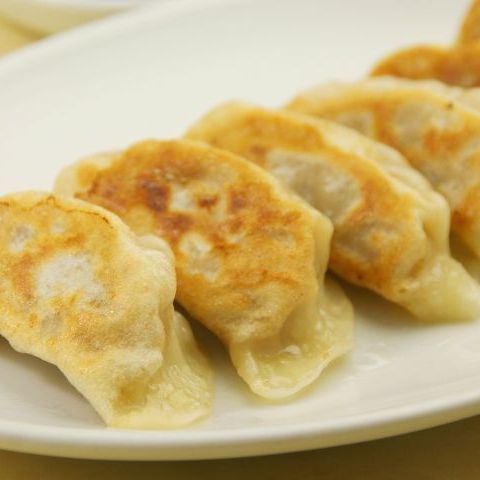 Homemade dumplings