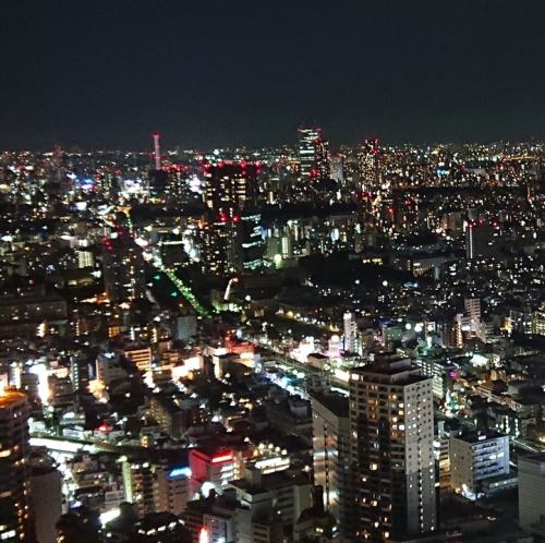 《新宿夜景》第一类视野开阔