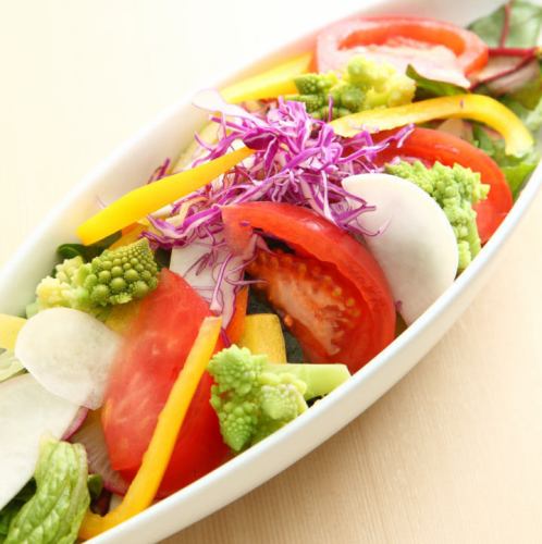 Morning Hayama vegetable salad