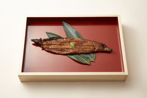 Grilled eel medium size