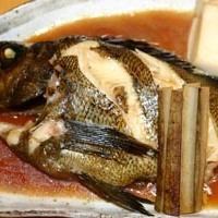 三浦産旬の魚の煮魚（黒ムツ、赤ムツ、カサゴ、メバル、他）