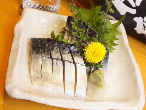 Autumn-made mackerel from Miura (〆 mackerel, raw mackerel)