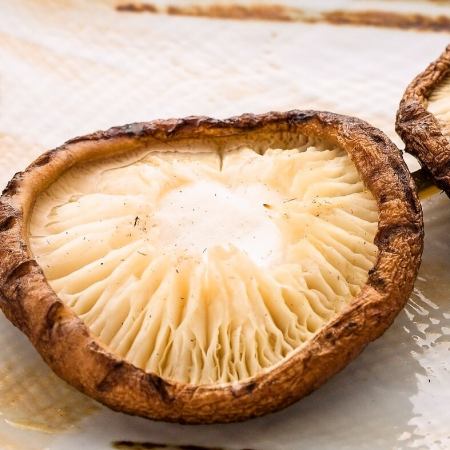Shiitake mushrooms/Shishinegi/Asparagus