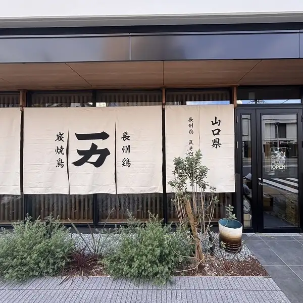 【ライブ感を楽しめるカウンター席から、掘りごたつ個室まで多彩な席タイプ】温かみのあるゆったりと落ち着いた雰囲気の店内は、少人数～団体様まで幅広いシーンでご利用いただけます。カウンター席、テーブル席、個室を完備しておりますのでシーンを問わずお越しください。