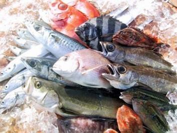 [Seasonal sashimi] Shime mackerel (can also be grilled)/sweet shrimp sashimi