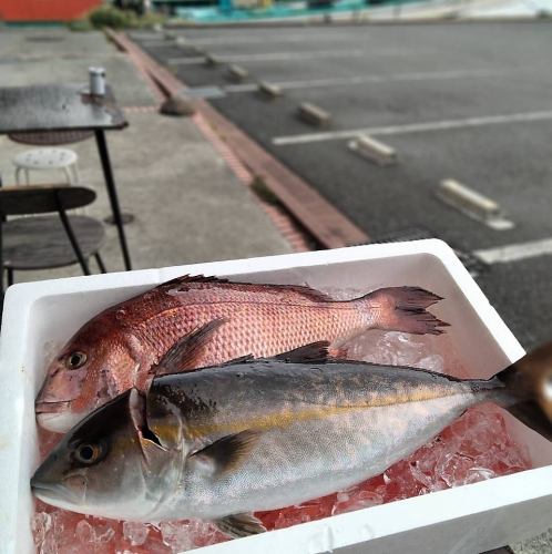 【仕入れのこだわり】朝市場直送！厳選された新鮮食材