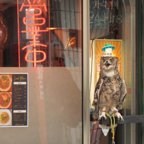 幸運を呼ぶリープちゃん