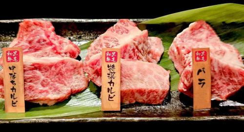 【美女木の焼肉酒場】ホルモン・お肉をタレで味変！