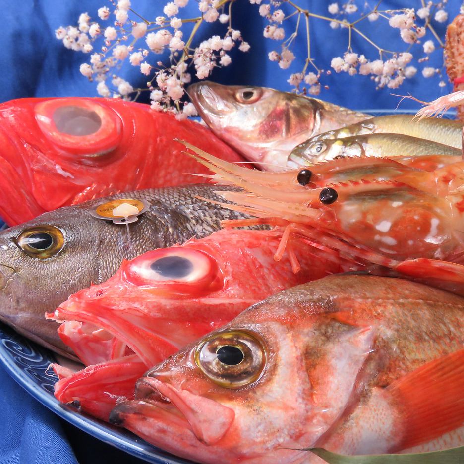 Luxuriously sashimi of fresh, fatty seasonal fish from 1300 yen / sashimi 250 yen per piece