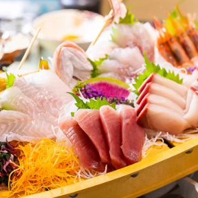 エキニシでの飲み会は魚菜小町で決まり♪