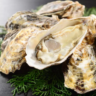 広島の旬に舌鼓。